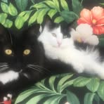 Profile Picture of Roberta Kassay (@roberta.kassay) on Facebook