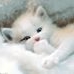 Profile Picture of Jean Poling (@jean.poling.9) on Facebook