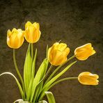 Peter Etu - Facebook Profile Picture of Peter Etu (@Peter-Etu) on Facebook