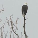 Profile Picture of Jim Curtin (@jamescurtin33) on Instagram