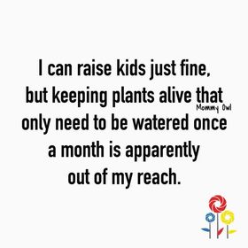 Profile Picture of Becca Page (@becca_89) on Pinterest