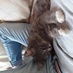 Profile Picture of Joseph Buysens (@josephbuysens) on Instagram