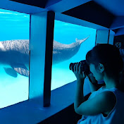 Profile Picture of Ana Paula Maggio (@anapaulamaggio5780) on Youtube