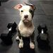 Profile Picture of Alex Ryabukha (@alexryabukha) on Pinterest