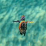 Profile Picture of Benjamin Delaney (@bensolo8484) on Instagram