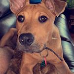 paige winkler - Instagram Profile Picture of paige winkler (@paige_winkler) on Instagram