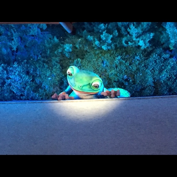 Profile Picture of Lisa Thorner (@vadly) on Poshmark