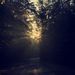 Profile Picture of Stacy Hackler (@shackler29) on Pinterest