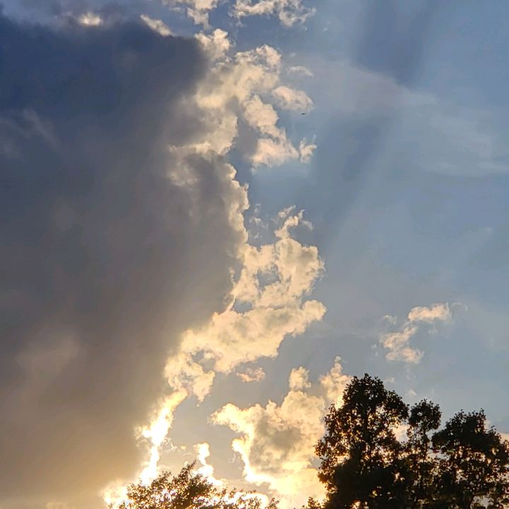 Profile Picture of AndyStacy Mccune (@andystacymccune) on Tiktok