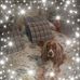 Profile Picture of Sherree Smith (@sherree.smith.58) on Facebook