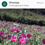 Profile Picture of Gorrge Corrtes (@gorrge.corrtes) on Facebook