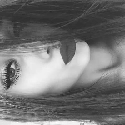 Profile Picture of Mina:) (@Mina_LukeBrooks) on Twitter