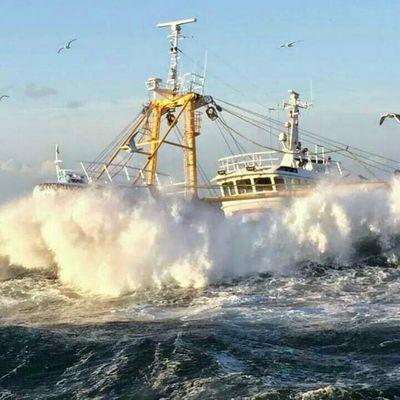 Profile Picture of Patrick 0'gorman (@Patrickogorm) on Twitter