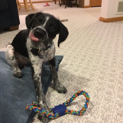 Profile Picture of Sara Kemper (@kemper_sara) on Twitter