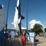 Profile Picture of Guenzi (@guenzicordone412) on Instagram