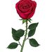 Profile Picture of Rosa Scotto (@Rosa-Scotto) on Facebook