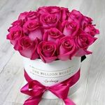 Profile Picture of Ayesha Rashid (@nature.by.ayesha) on Instagram