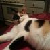 Profile Picture of Bob Hare (@bob.hare.925) on Facebook