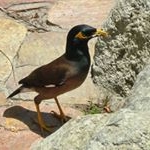 Profile Picture of LETCHER (@8lletcherjoynson) on Instagram