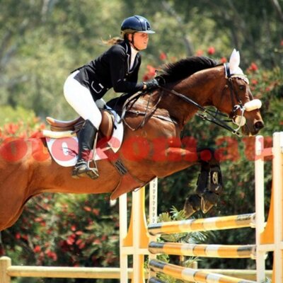 Profile Picture of Bea Hodge (@bianca_hodge) on Twitter