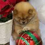 Profile Picture of Ted Wozniak (@tedwozniak) on Instagram