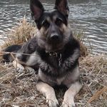 Profile Picture of Adam Tench (@tenchadam) on Instagram