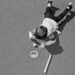 Profile Picture of Gary Block (@raos) on Pinterest