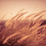 Profile Picture of Mohammed Aljudibi (@mohammed saad aljudibi) on Flickr