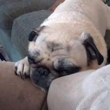 Profile Picture of Brendan Quinlan (@brendanquinlan8) on Twitter