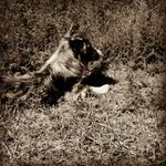 Profile Picture of Kris Wittman (@kwitbuster) on Instagram