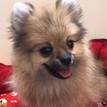 Profile Picture of Steve (@stevegasparr) on Instagram