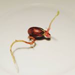 Profile Picture of Alex Fairley (@plants_for_matt) on Instagram