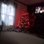 Profile Picture of mckenzie jackson (@mck4719) on Instagram