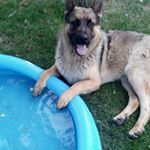 Profile Picture of adam masek (@masekddd82) on Instagram