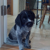 Raymond Laney - Youtube Profile Picture of Raymond Laney (@raymondlaney1369) on Youtube