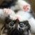 Profile Picture of Jean Dibble (@jeandibble7) on Pinterest