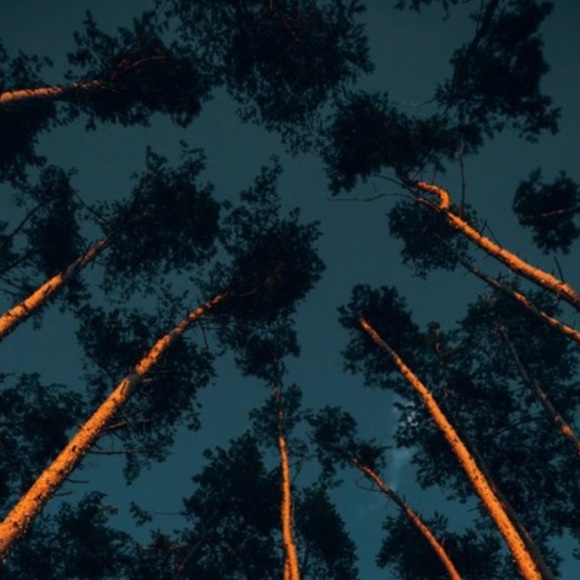 Alexis Gillespie - Poshmark Profile Picture of Alexis Gillespie (@alexisgilles101) on Poshmark