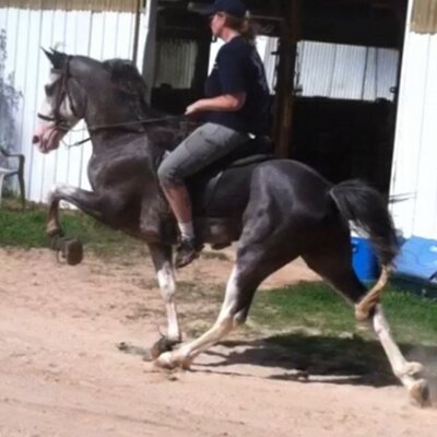 Profile Picture of Kristin Chambers (@kc17038) on Twitter