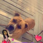 Profile Picture of Jenitza Feliciano (@jenitzafeliciano) on Instagram