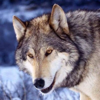 Profile Picture of Tim Paul Ploeger (@timpaulploeger) on Twitter