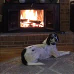 Profile Picture of Daniel Fey (@daniel.fey.39) on Facebook