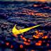 Profile Picture of Lonnie Gates (@lonnie.gates.587) on Facebook
