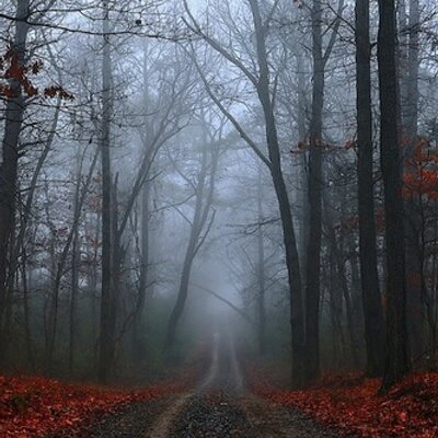 Profile Picture of DPM_Prose (@DavePMFiction) on Twitter