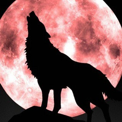 Profile Picture of Sam Tannenbaum (@samaswome321) on Twitter