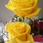 Profile Picture of Álvaro Argote Muñoz (@alvaroargotemunoz) on Instagram