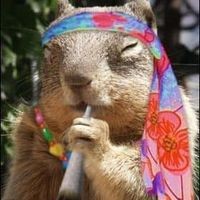Profile Picture of Pamela Simone (@pamela-simone-2) on Quora