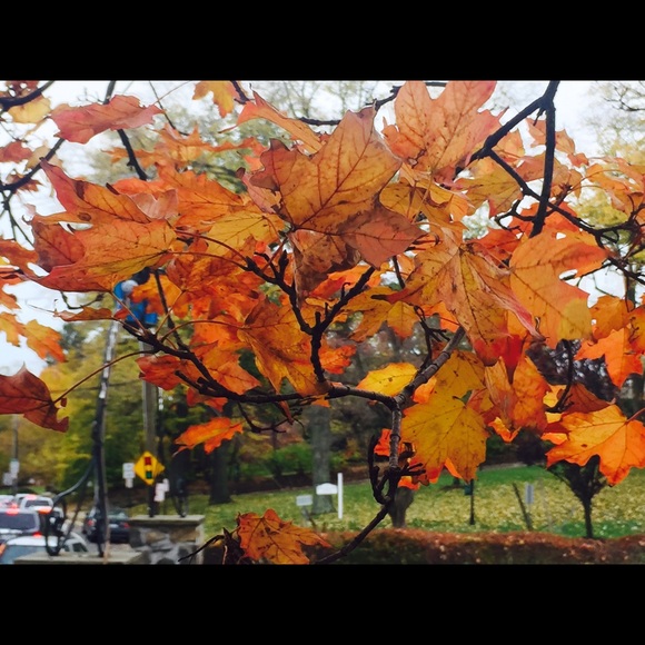 Profile Picture of Catherine Neysmith (@cath1100) on Poshmark