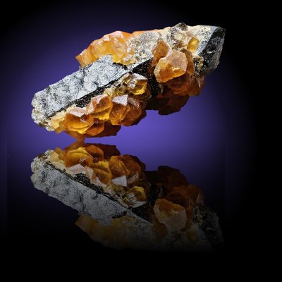 Profile Picture of David Minster (@MetisCollectuve) on Twitter