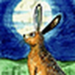 Profile Picture of Alice Earp (@Moongazing Hare) on Flickr