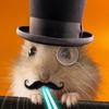 Profile Picture of Curtin Tobin (@@curtintobin) on Tiktok